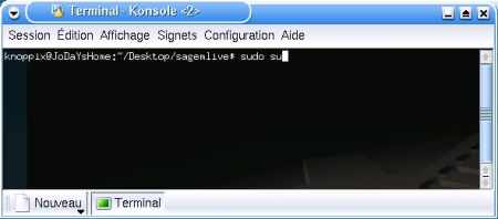 Saisie de la commande sudo su pour devenir root
